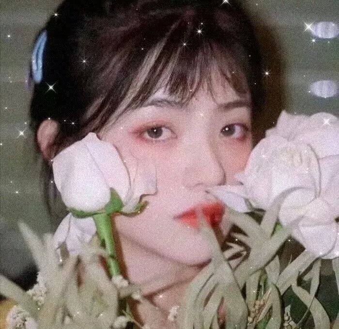 山河血泪美人恩